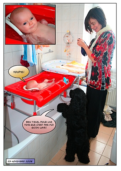 Cocker américain et bébé