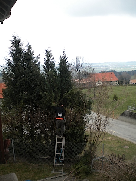 DSCN1740