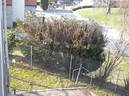 DSCN1782